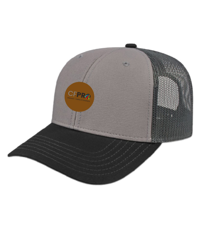 CFPRO - i3028 Casquette classique - BRC. EC1149 (AV)